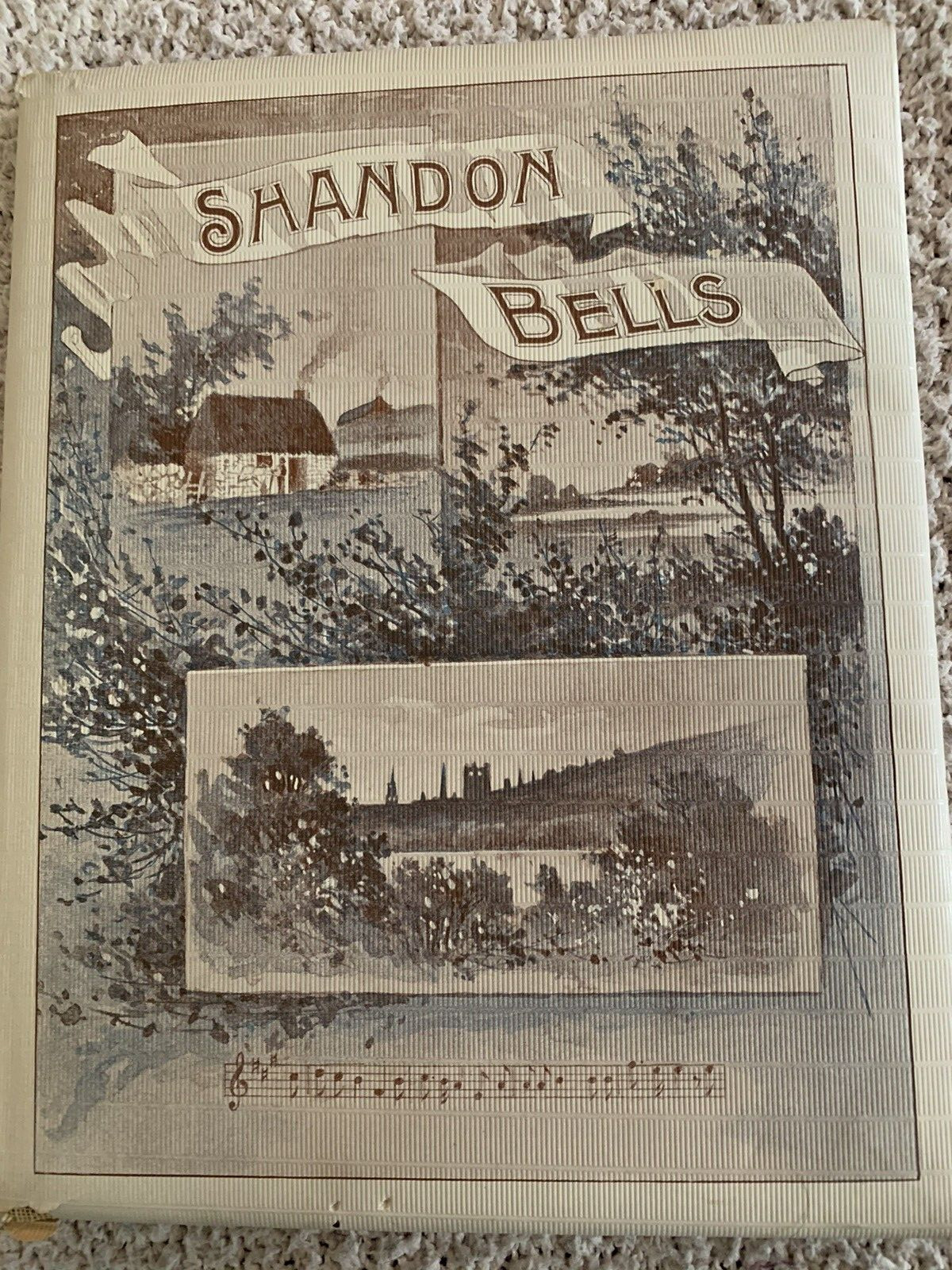 1892 Rare Poem, Shandon Bells, Fr. Prout, Illustrated by Joseph Lauber, DJ