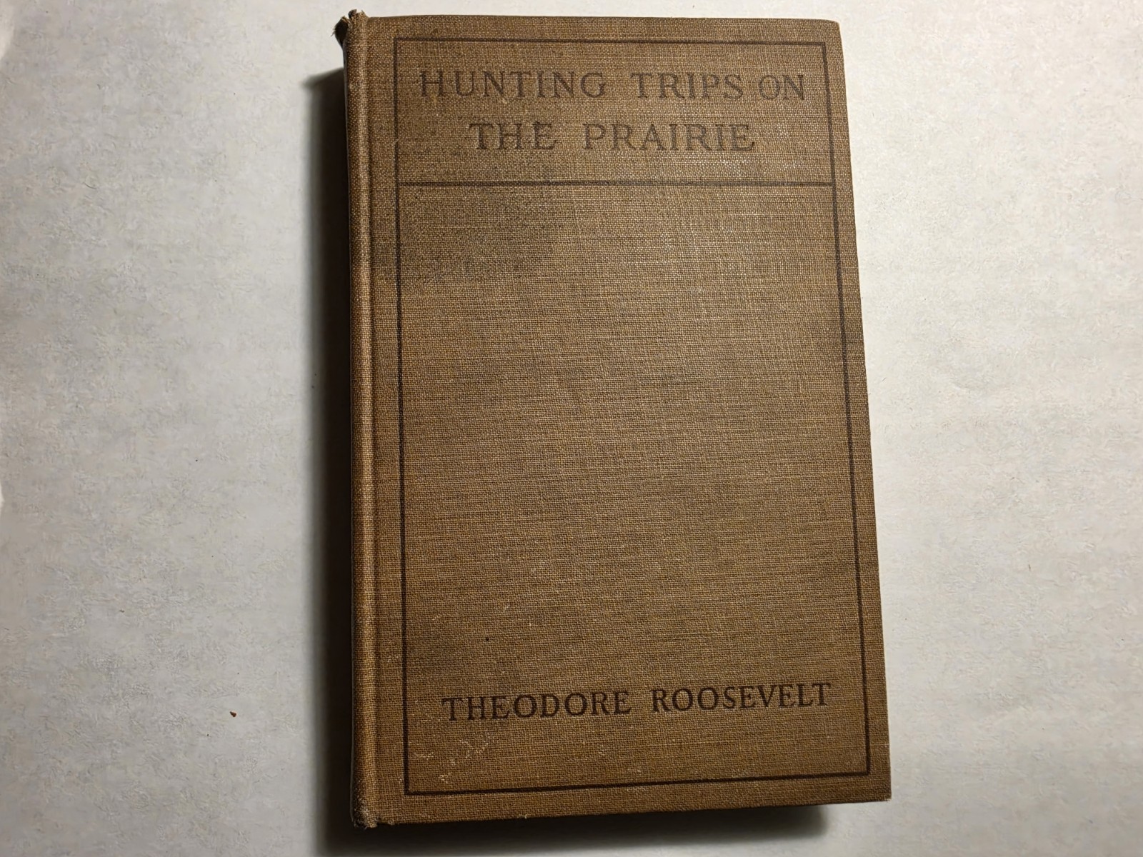 Vintage 1902 Theodore Roosevelt \