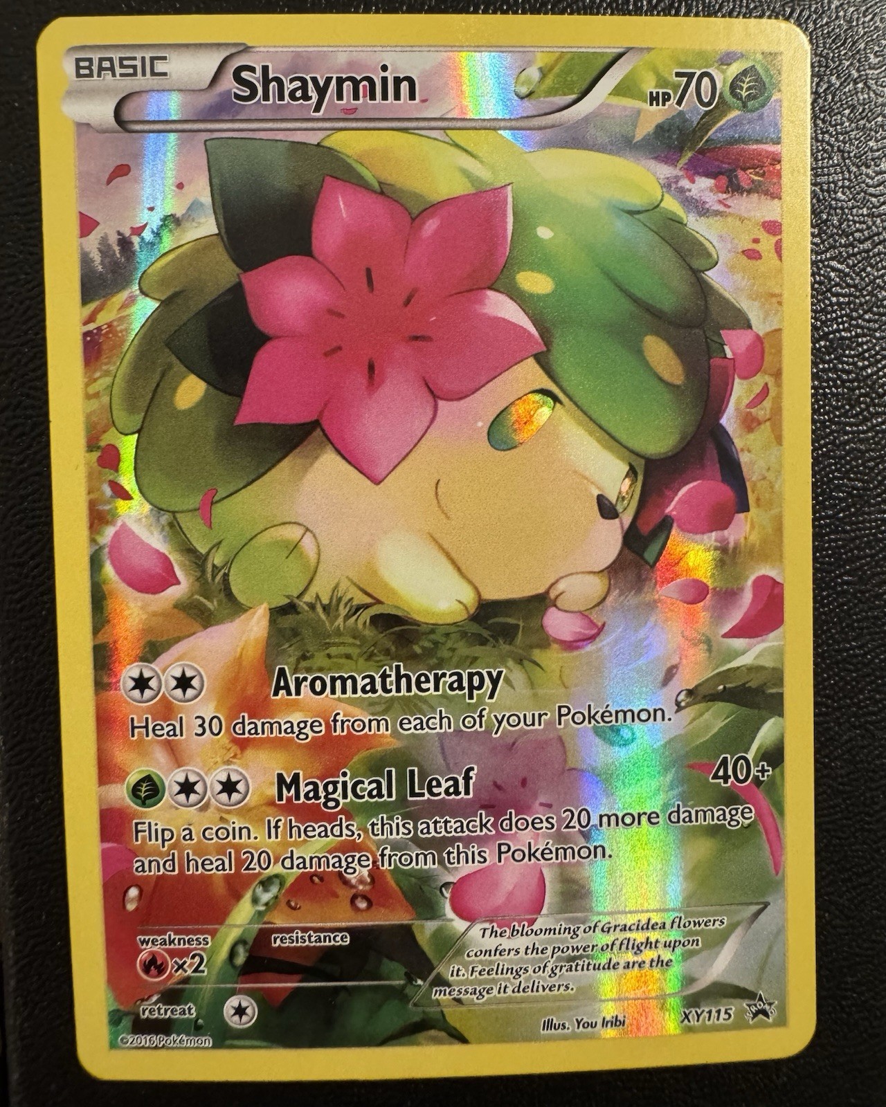 Shaymin XY115 XY Holo Pokemon TCG