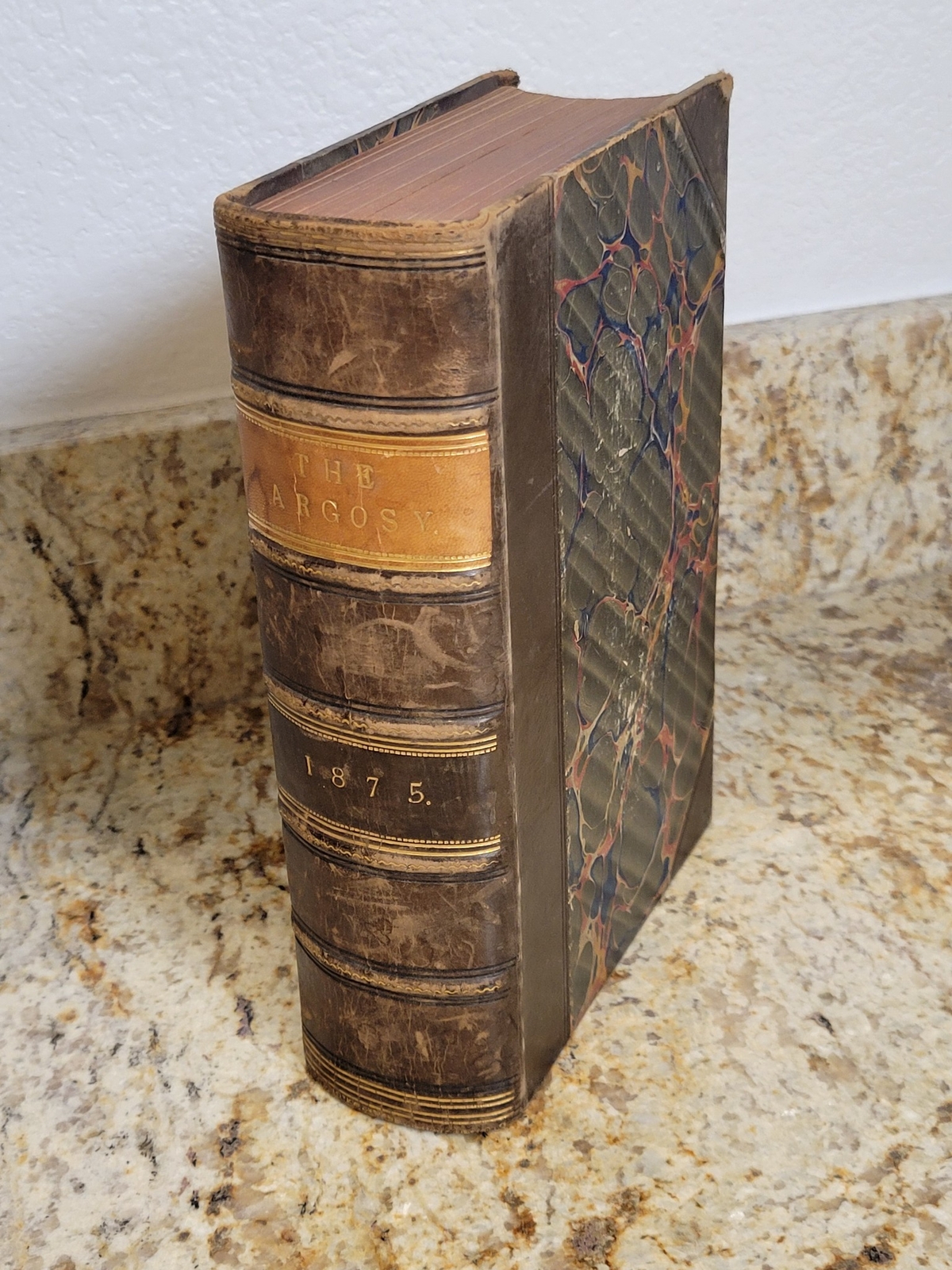 THE ARGOSY 1875 January to December Vol. XIX & XX Illustrated Secret of the Sea