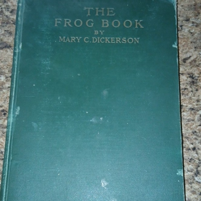 Mary C. Dickerson The Frog Book: North American Toads & Frogs HC Illus 1931 Mary C. Dickerson The Frog Book: North American Toads & Frogs HC Illus 1931