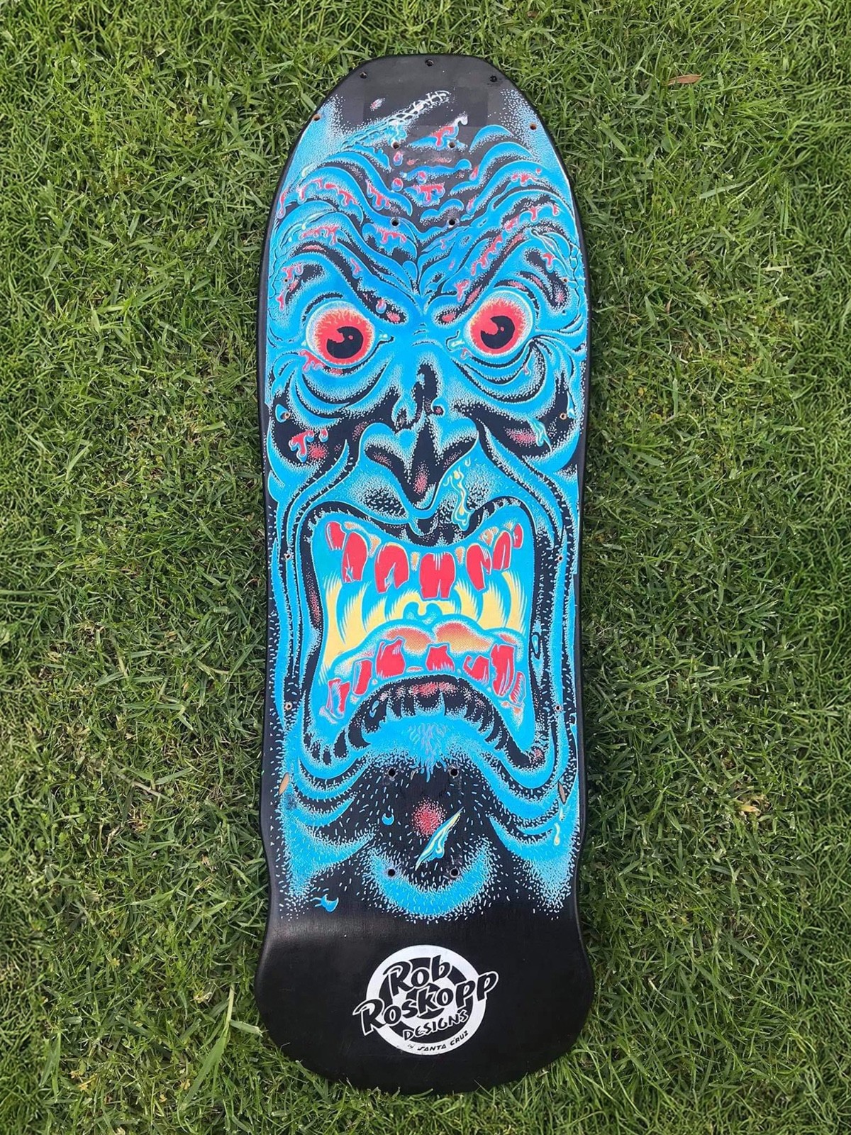 rare vintage 1987 Santa Cruz ROB ROSKOPP rare vintage 1987 Santa Cruz ROB ROSKOPP