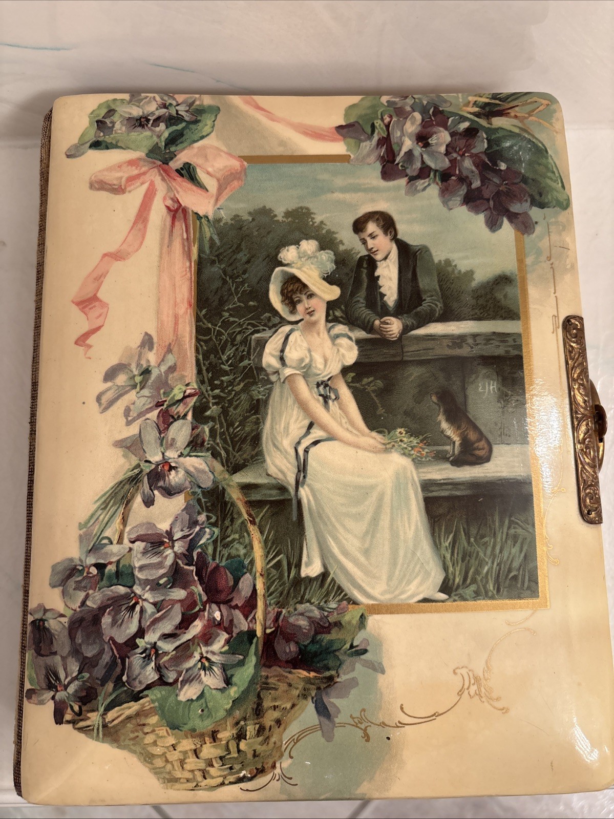 Antique Celluloid Victorian Photo Album with Embossed Cards Metal Clasp Velvet