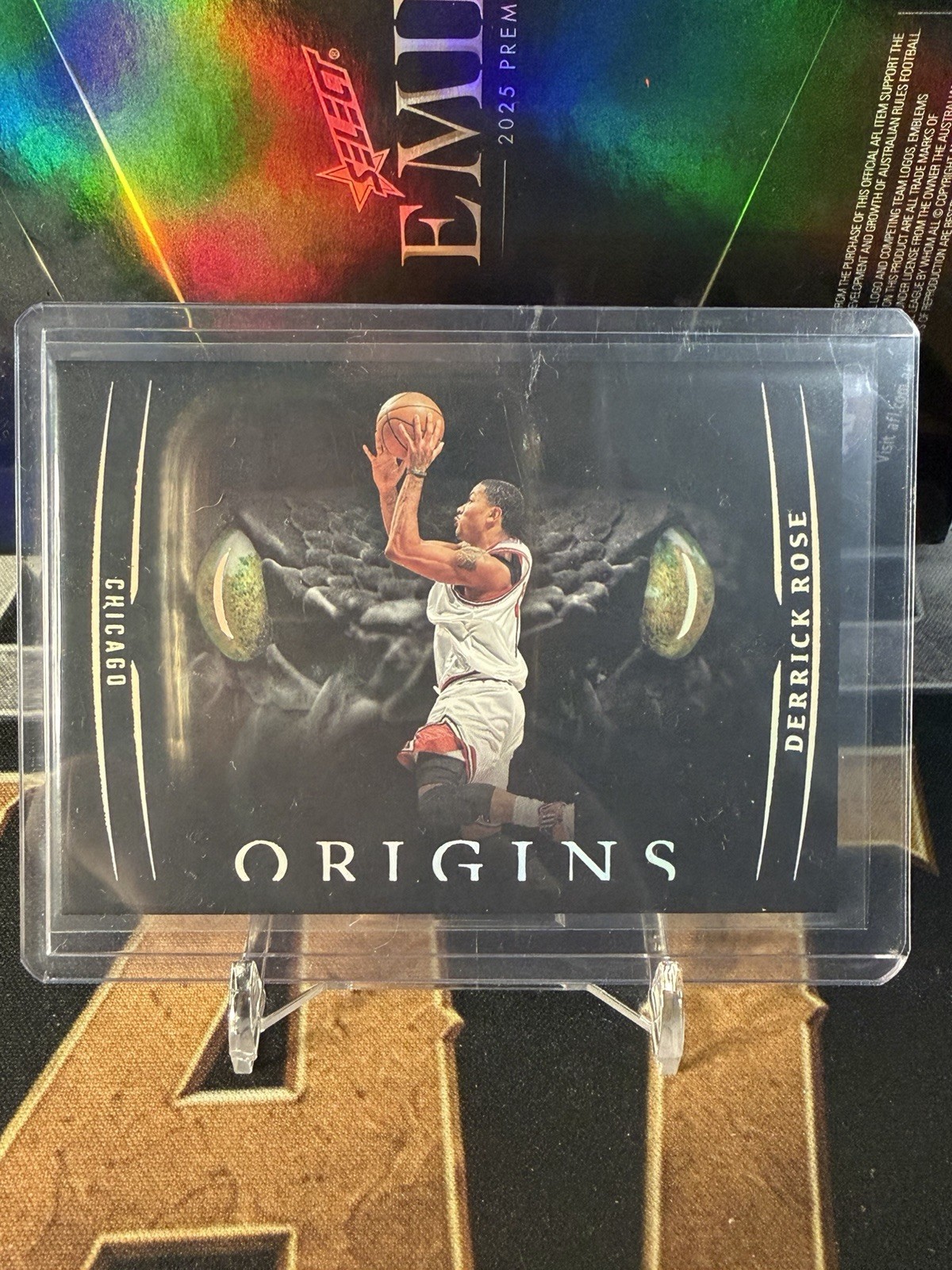 2025-26 Panini Origins Derrick Rose Black Snake Eyes SSP Case Hit Bulls