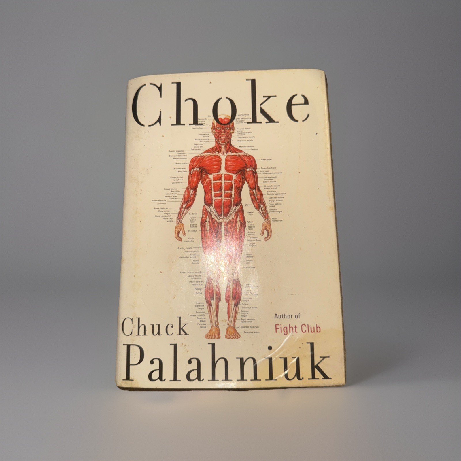 Choke by Chuck Palahniuk | First Edition 1st Printing | HC w/DJ | VG++++ Choke by Chuck Palahniuk | First Edition 1st Printing | HC w/DJ | VG++++