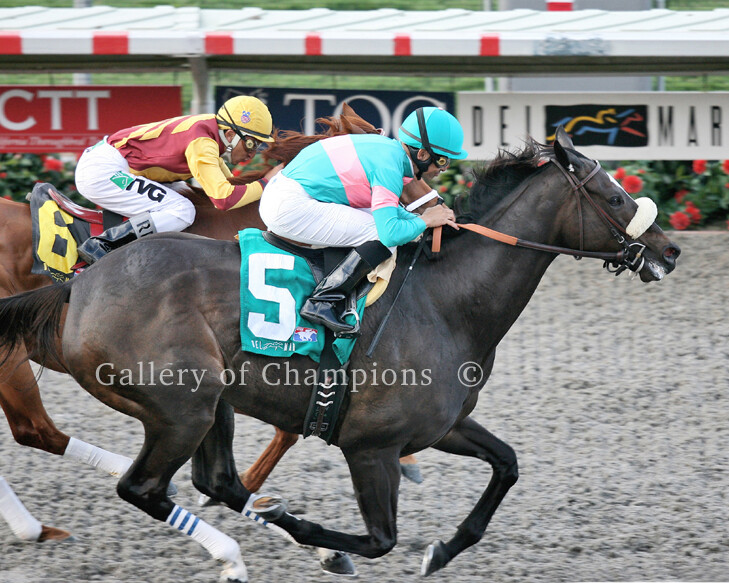 Zenyatta 2010 Clement Hirsch Finish Photo 8\