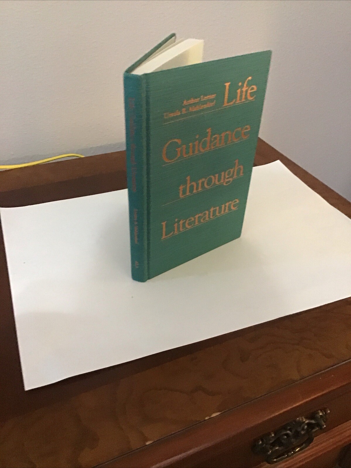 Life Guidance Through Literature, Dr. Arthur Lerner, 1991 1st Ed HC MINT RARE