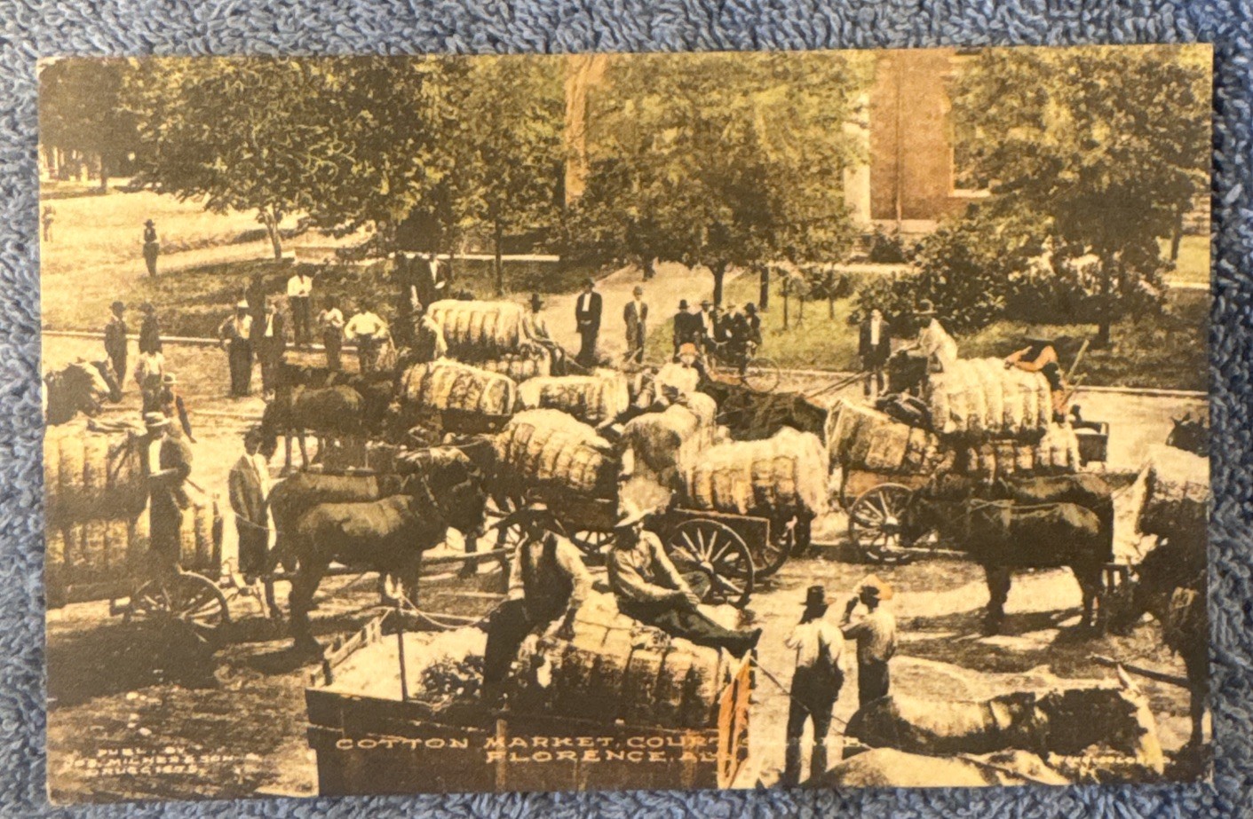 Postcard Alabama Florence Cotton Market Court House. Unposted / Unused Postcard Alabama Florence Cotton Market Court House. Unposted / Unused