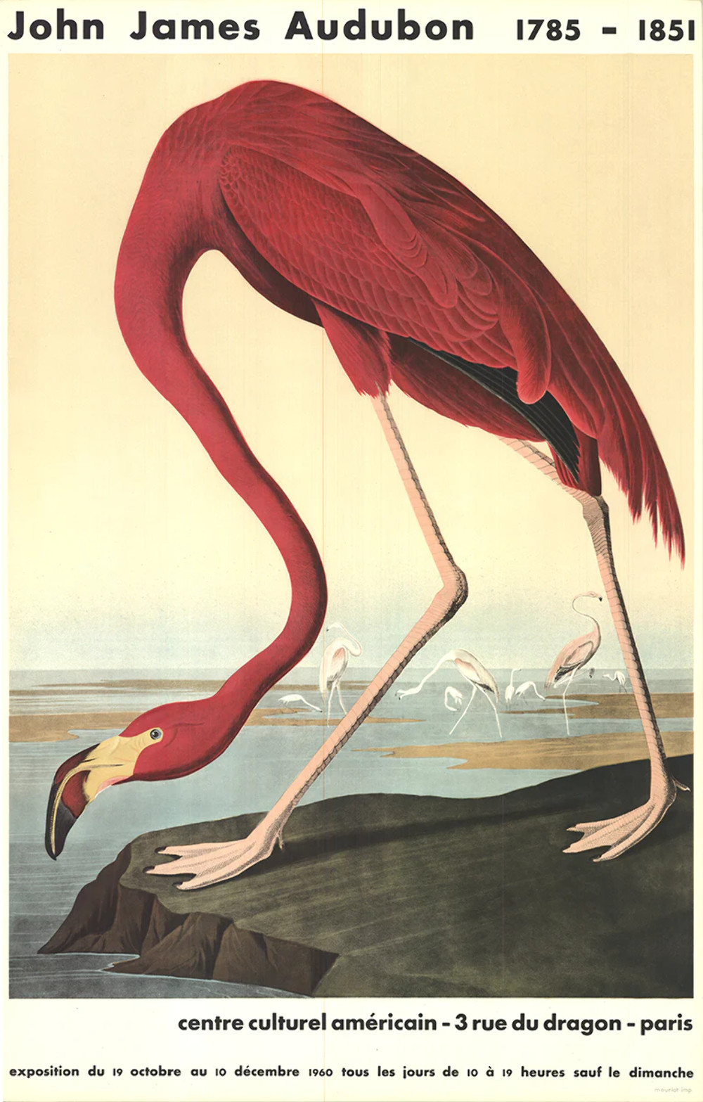 JOHN JAMES AUDUBON American Flamingo 33.5