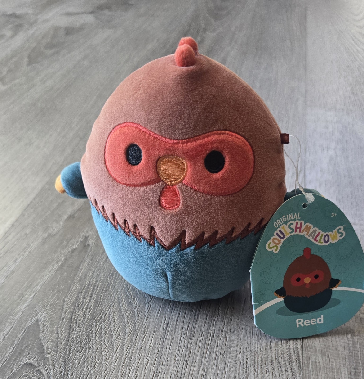 Squishmallows \ Squishmallows \