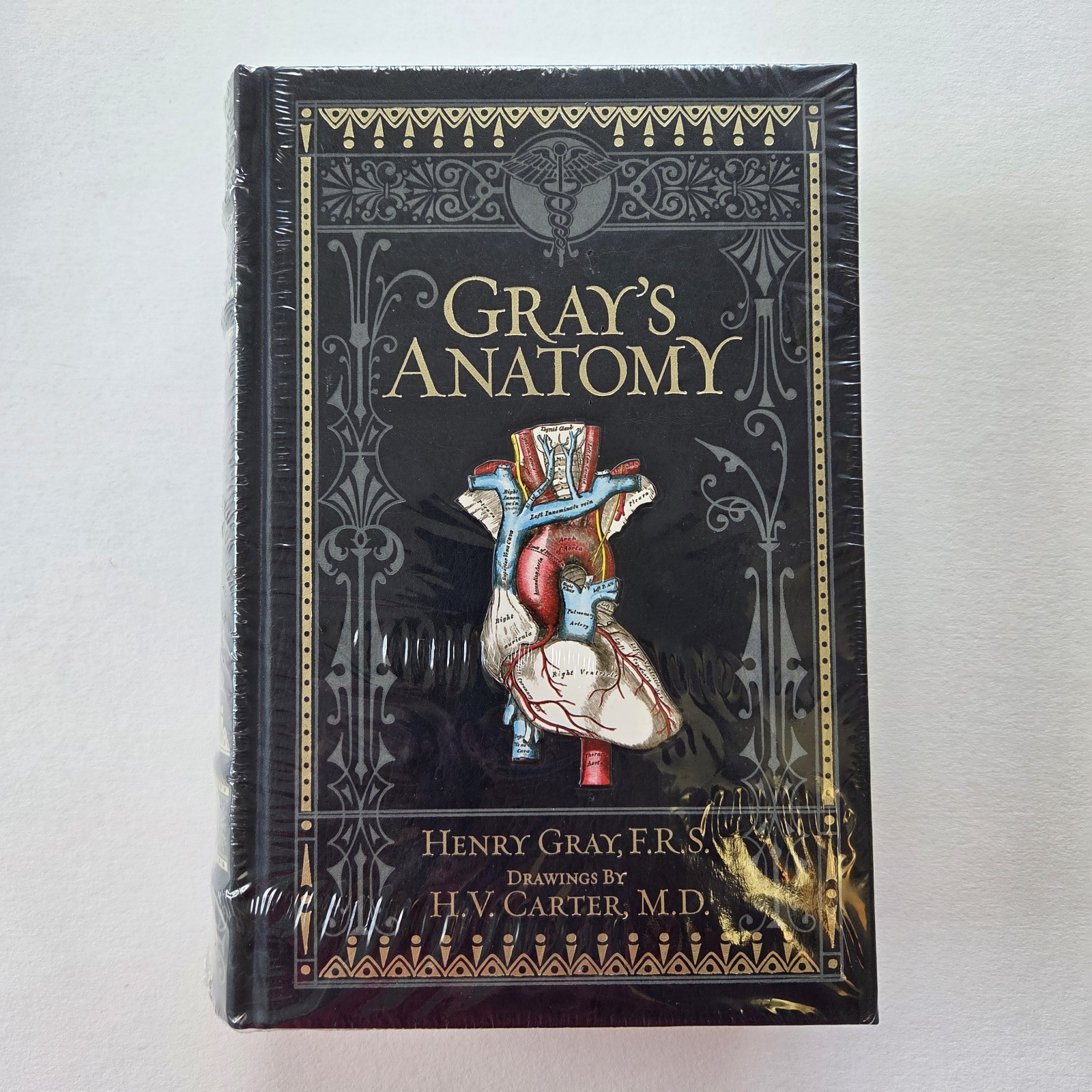 Gray's Anatomy Leather Bound Ed. 2010 Barnes and Noble Medicine Henry Gray 15th Gray's Anatomy Leather Bound Ed. 2010 Barnes and Noble Medicine Henry Gray 15th