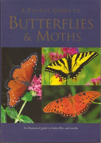A Pocket Guide to Butterflies Moths - Paperback By Balmer, Elizabeth - GOOD A Pocket Guide to Butterflies Moths - Paperback By Balmer, Elizabeth - GOOD