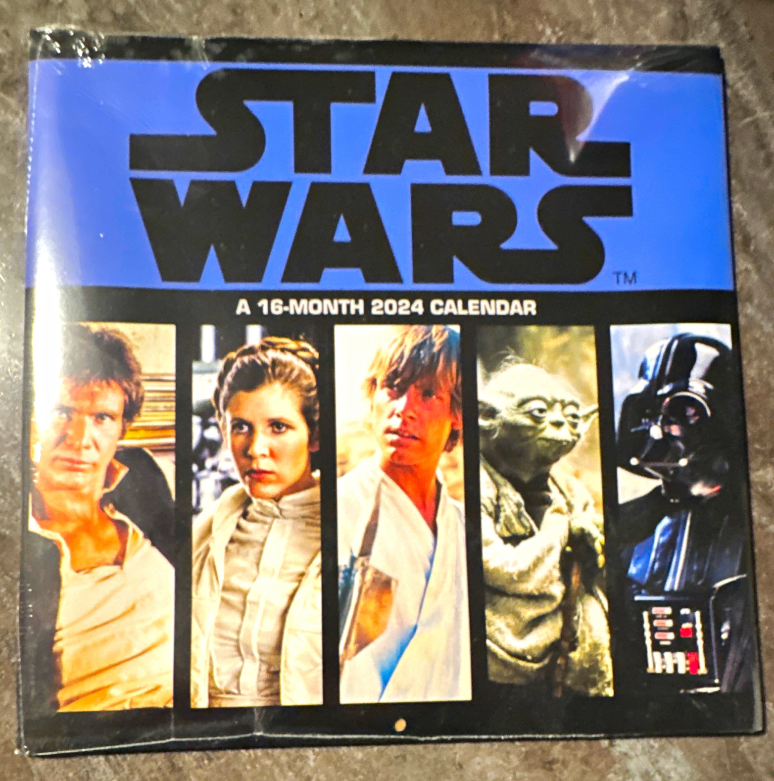 Trends International Star Wars 16-Month 2024 Calendar (DateWorks)