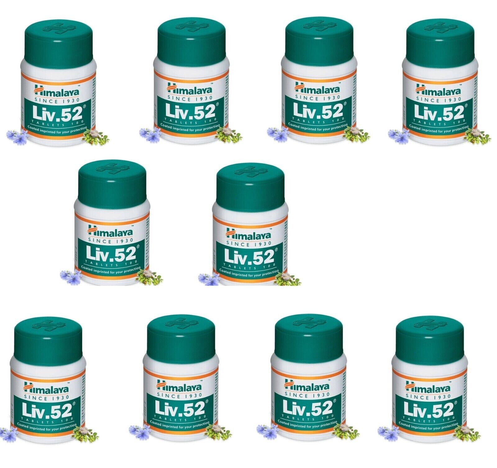 Liv 52 Pack of 10 Bottles EXP 2027  Natural Ayurveda Wellness