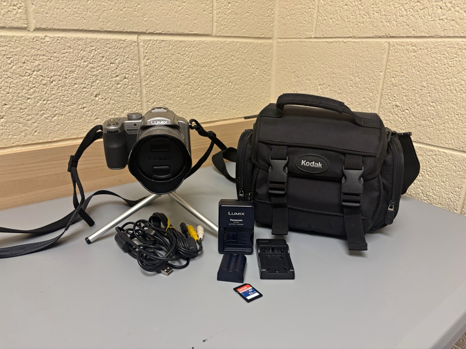 Panasonic LUMIX DMC-FZ50 12x Zoom Silver Camera Bundle w/ Charger