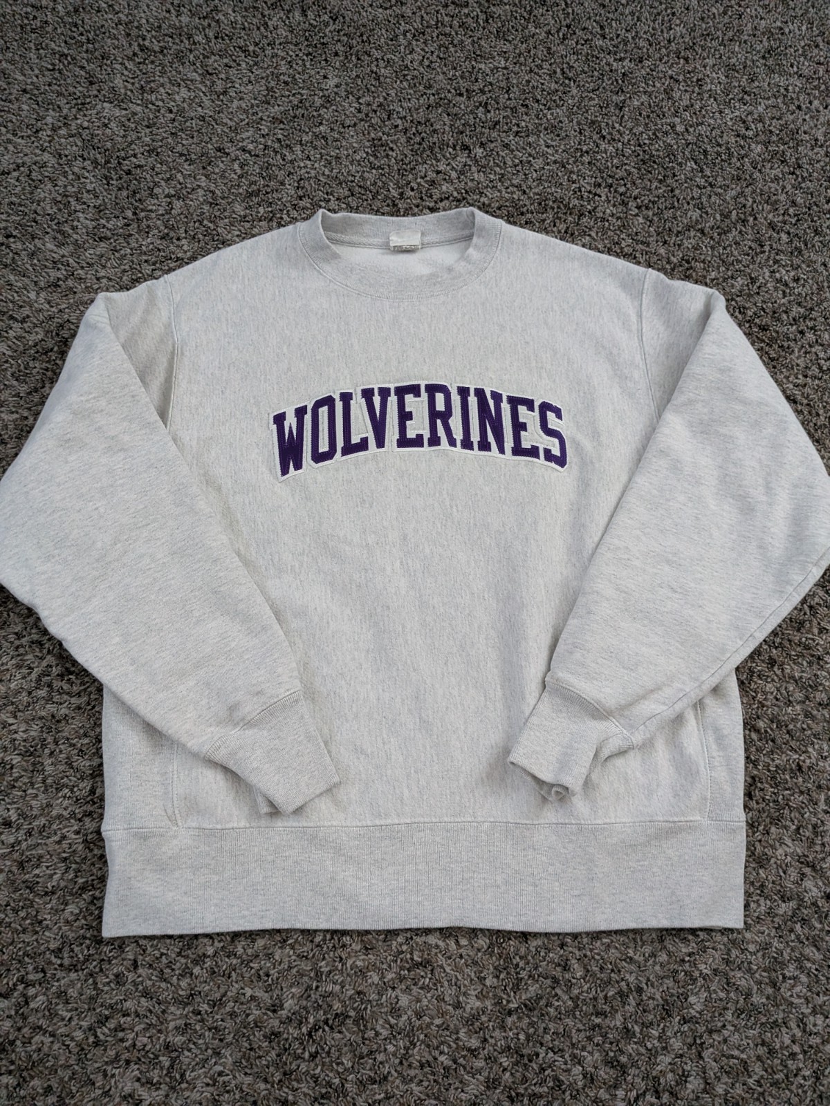 Vintage Champion Reverse Weave Wolverines Sweatshirt Vintage Champion Reverse Weave Wolverines Sweatshirt