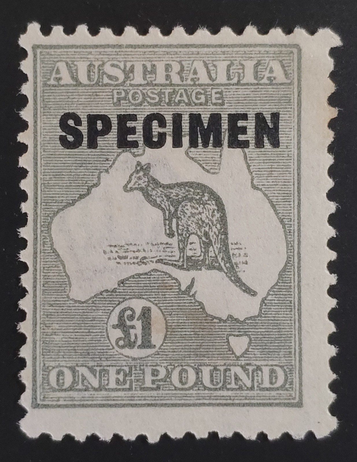 AUSTRALIA. GV.  VERY RARE 1924 £1 Kangaroo 3rd Wmk \