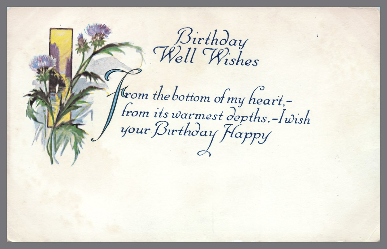 Birthday Well Wishes Antique c1910 Postcard Flowers Gartner Bender Chicago -1064