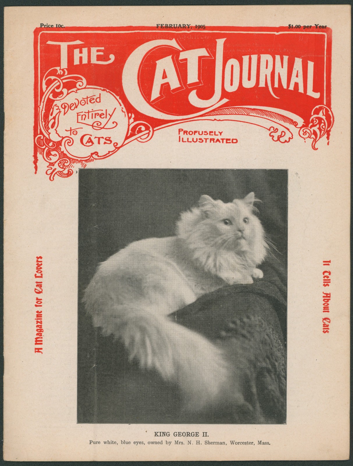 Rare 1900s The Cat Journal Magazine 1905 Early Cat Fancy~Breeding~Show History Rare 1900s The Cat Journal Magazine 1905 Early Cat Fancy~Breeding~Show History