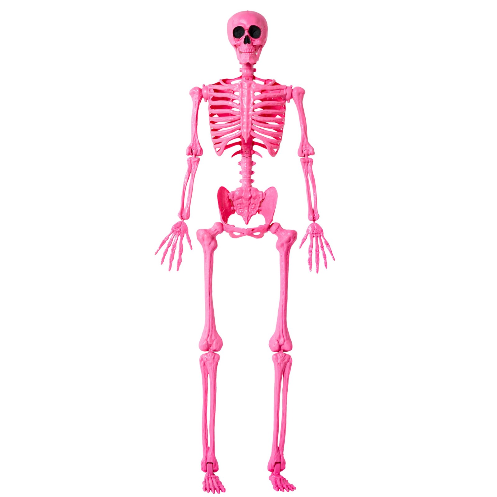 JOYIN 5 FT Halloween Skeleton Life Size, Stayable Posable Pink Skeleton Decor, F JOYIN 5 FT Halloween Skeleton Life Size, Stayable Posable Pink Skeleton Decor, F