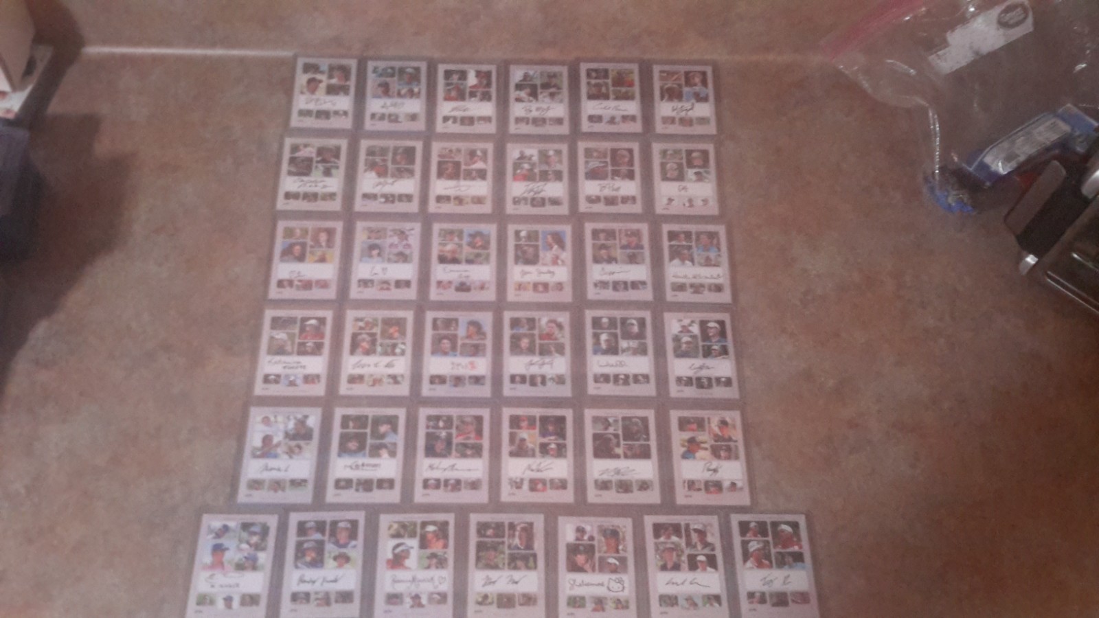 2025 Brixton DGPT Rookie Showcase COMPLETE Set Autos (37 cards)
