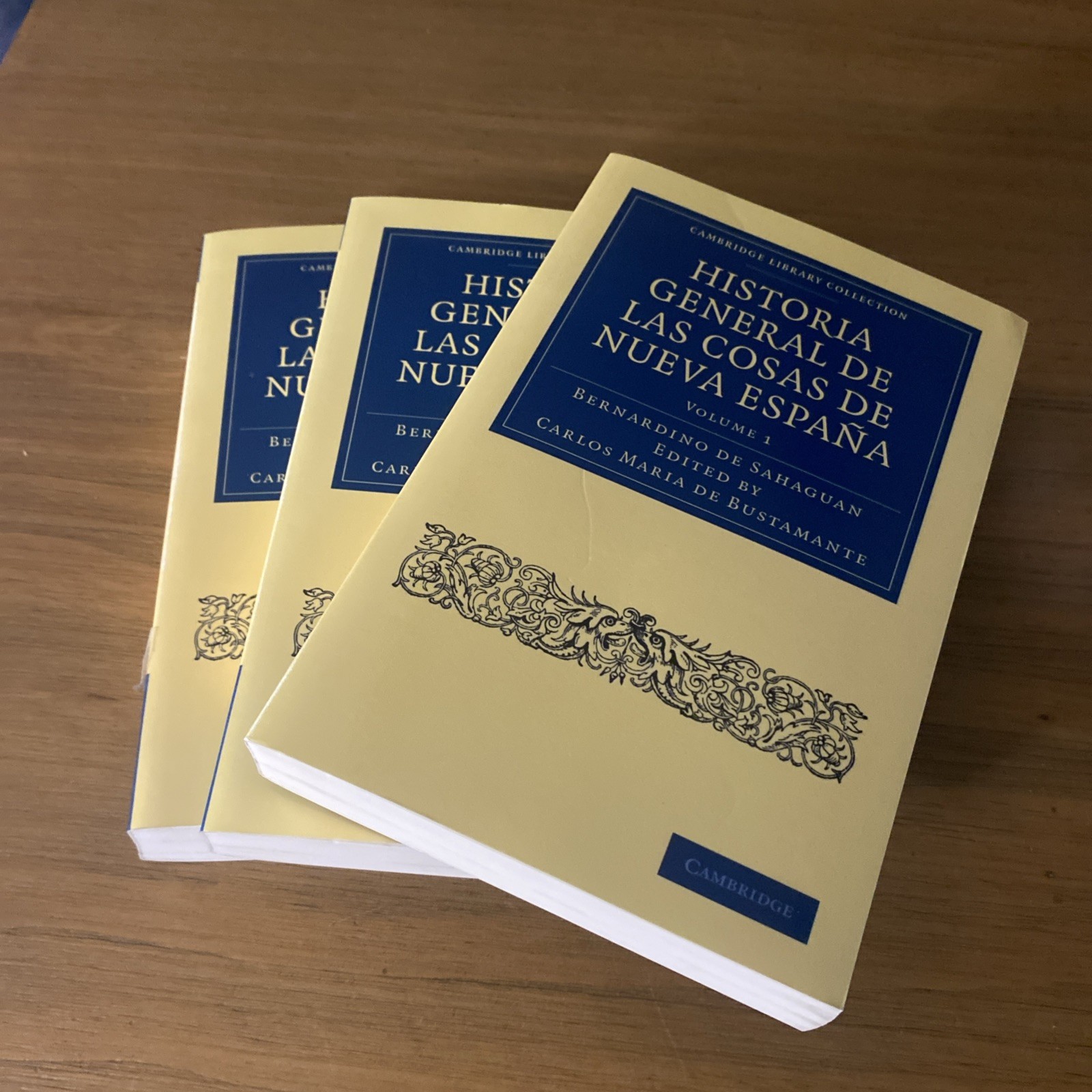 Bernardino de S Historia General de las Cosas de Nueva (Paperback) (UK) SET Bernardino de S Historia General de las Cosas de Nueva (Paperback) (UK) SET