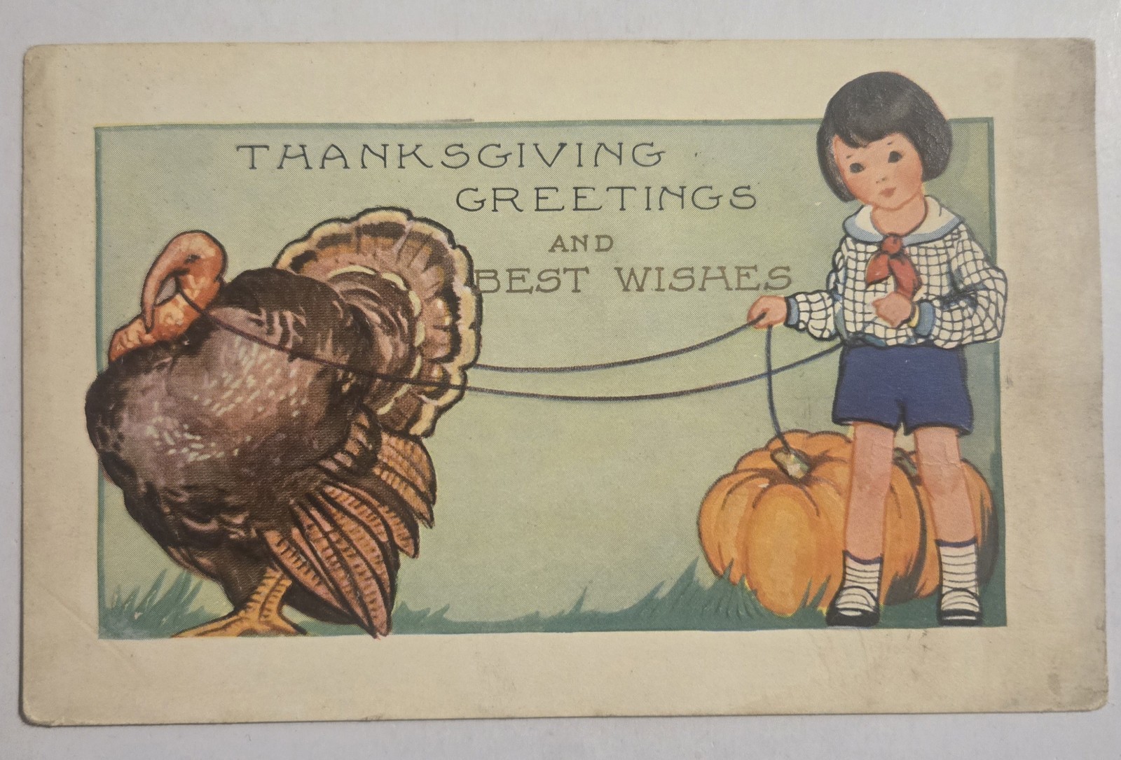 Thanksgiving Greetings Child Walking Turkey Antique Embossed Used Postcard 114
