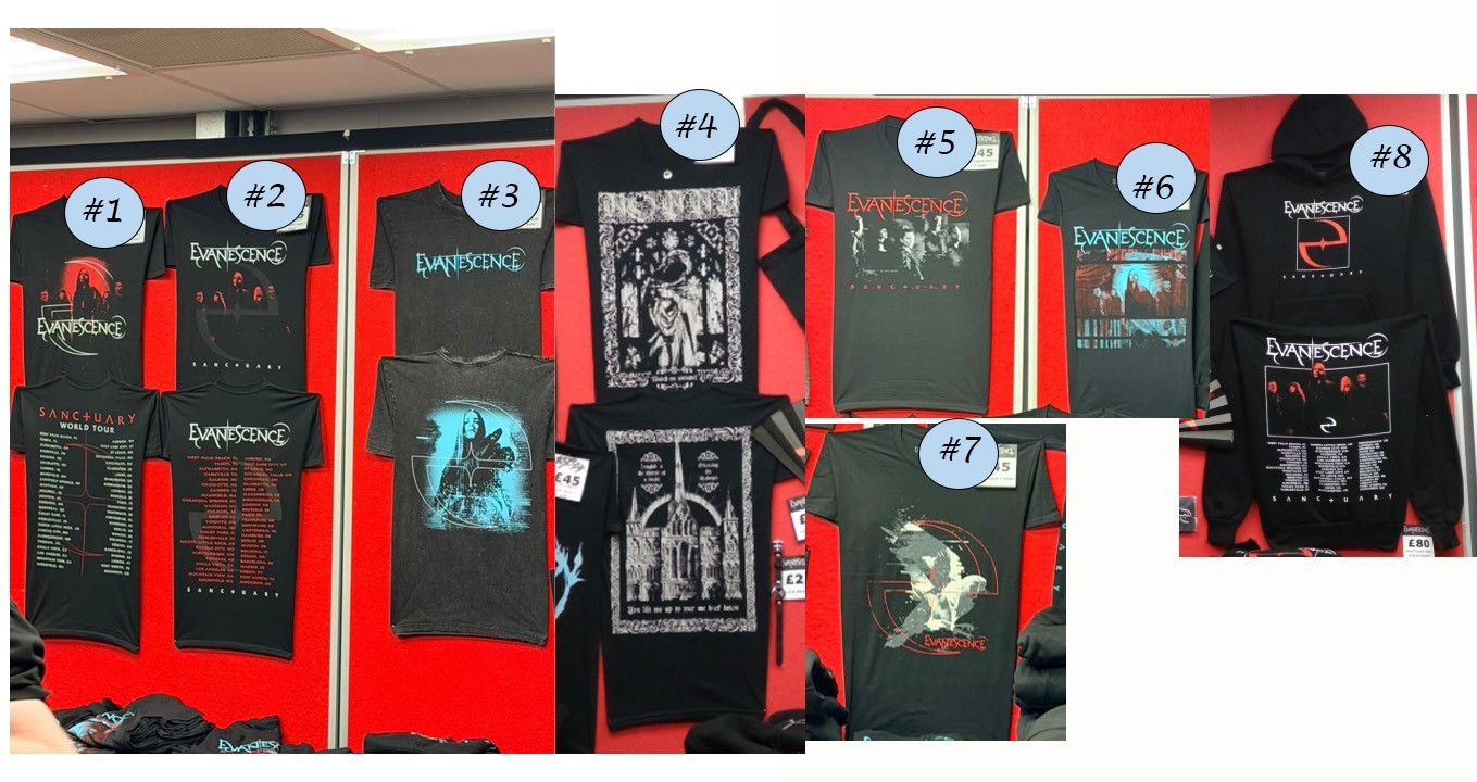 Evanescence Concert Shirt Hoodie Sanctuary World Tour Merch Tee Reprint