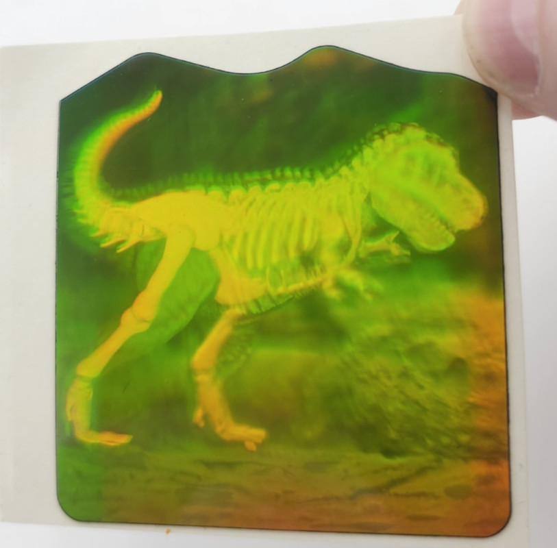VTG Polaroid 3-D 90\'s Hologram Sticker - T-REX Dinosaur Flesh 2 Skeleton 2x2