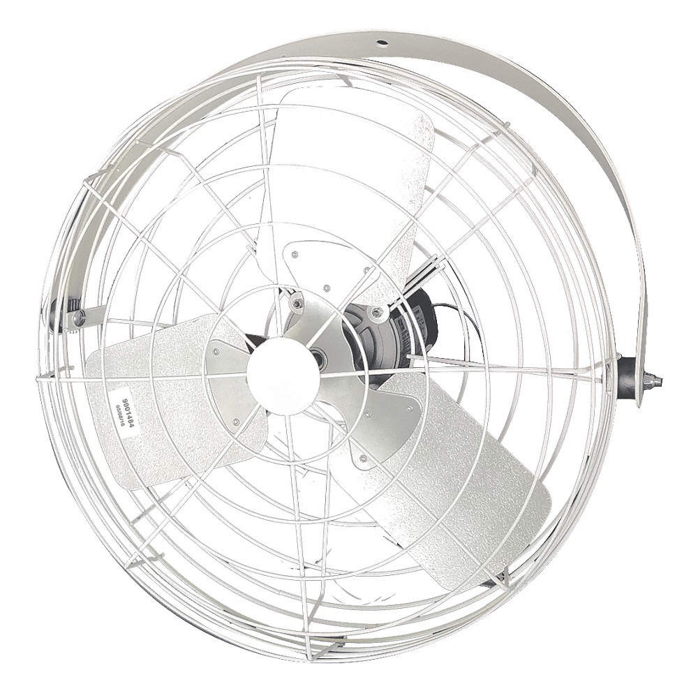 DAYTON 24B4WV-W-G Crrsion Rsstnt Indstrl Fan,24\