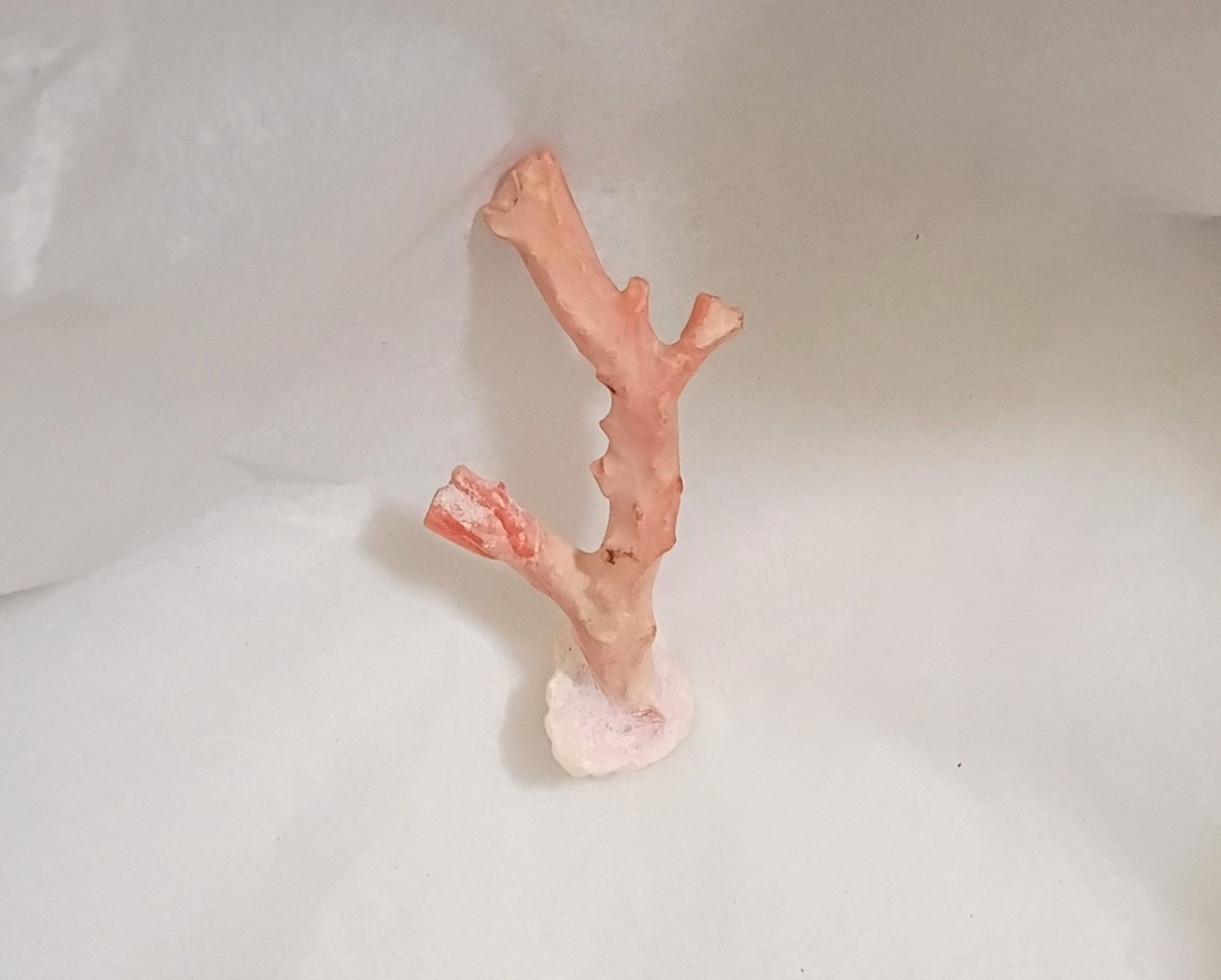 NATURAL ITALIAN PINK CORAL BRANCH - 3 x 1.19\