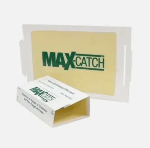 Catchmaster 72Max Glue Board Mouse Insects Trap 72 Count AP&G 