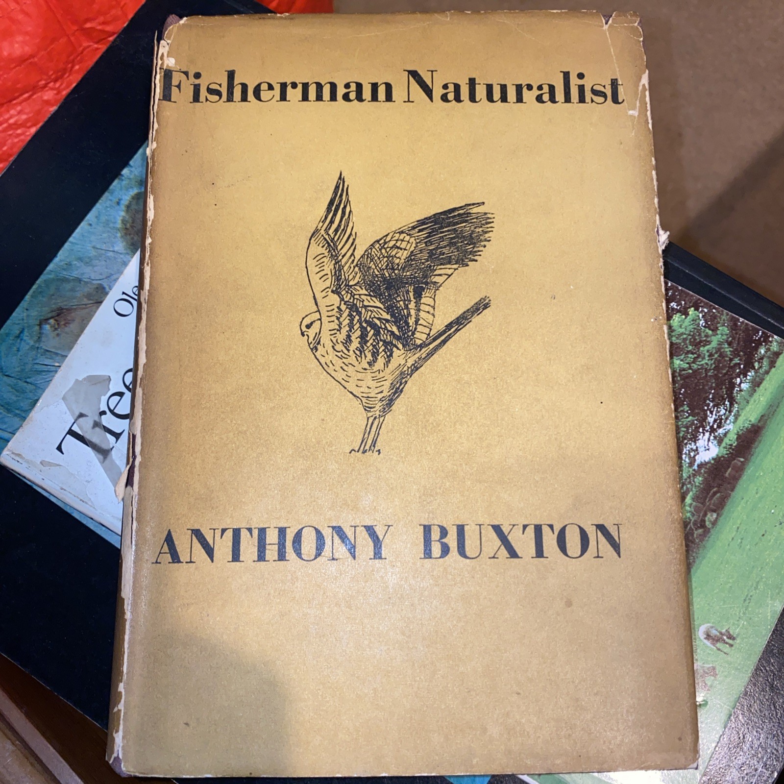 SIGNED 1st Ed Fisherman Naturalist Major Anthony Buxton 1946 Collins Dust Jacket