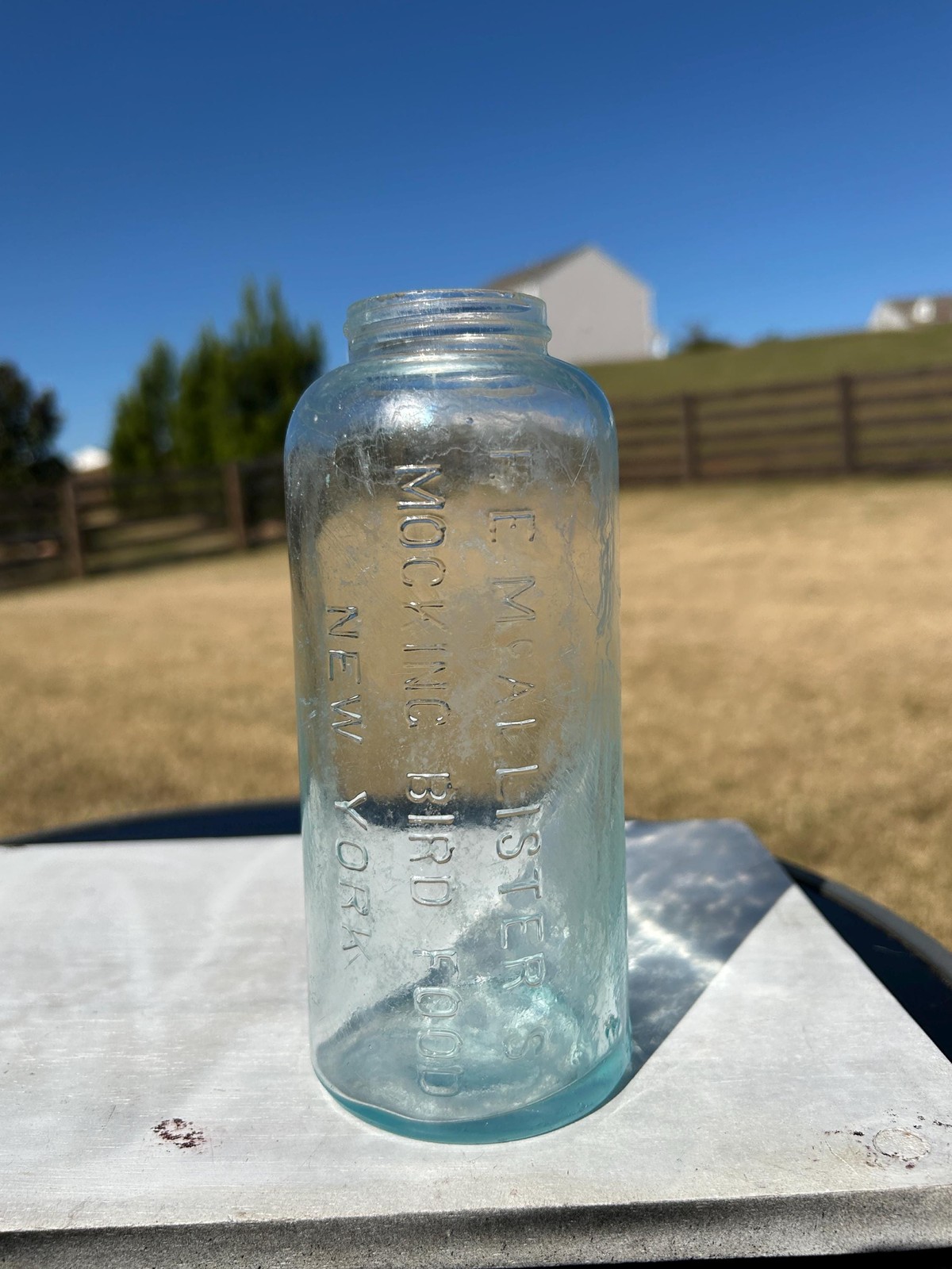 Antique F.E. McAllister's Mocking Bird Food Bottle New York Aqua Embossed
