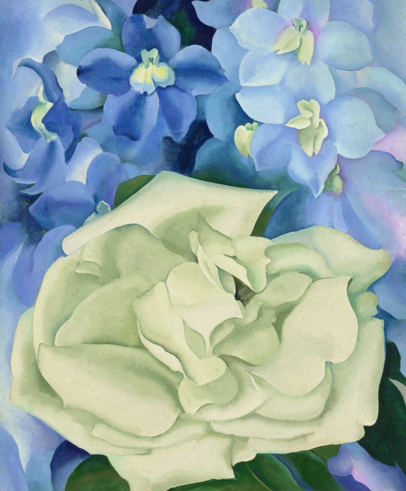 Georgia O\'Keeffe White Rose with Larkspur No. I 1927 American Modernism
