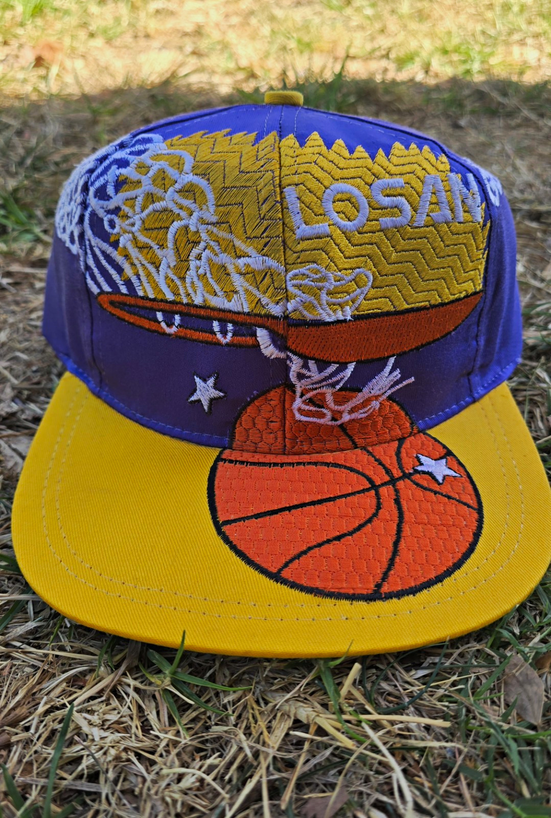 Vintage Los Angeles Lakers NBA Snapback Cap Hat Purple Yellow Green