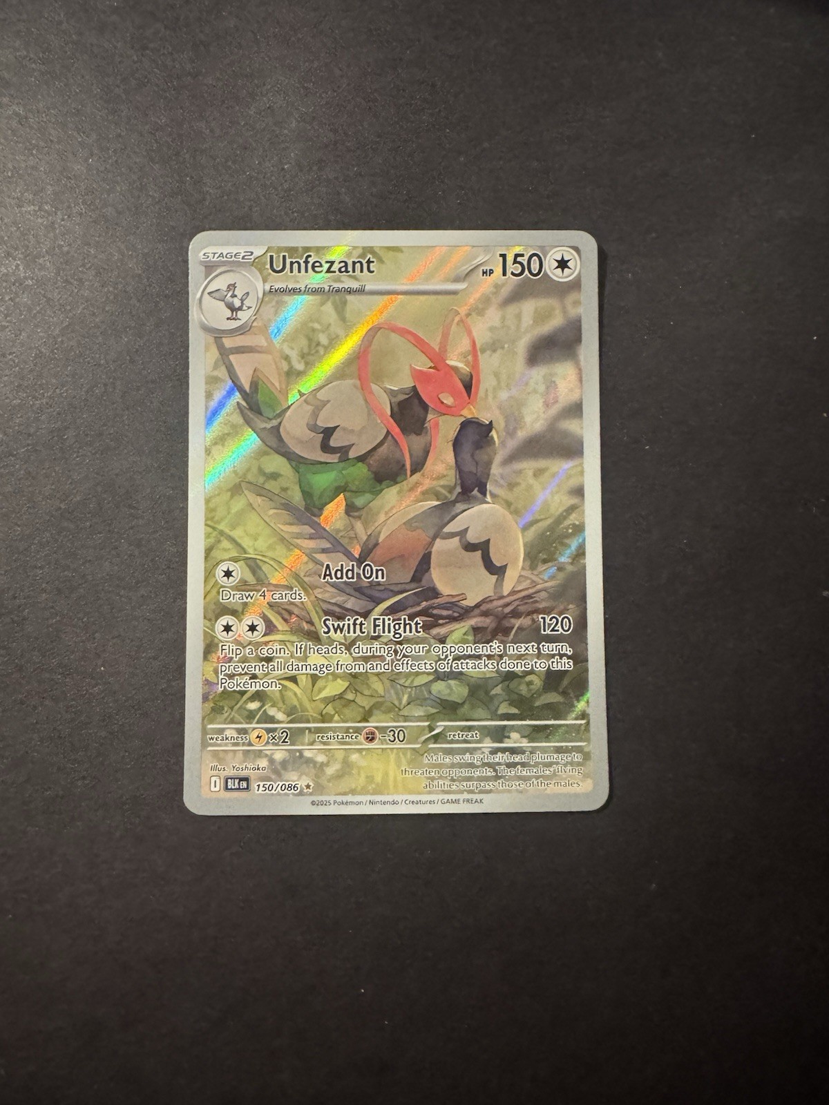 The Pokémon Company Pokemon TCG Unfezant 150/086 Sv Black Bolt IR Holo EN 150 HP The Pokémon Company Pokemon TCG Unfezant 150/086 Sv Black Bolt IR Holo EN 150 HP