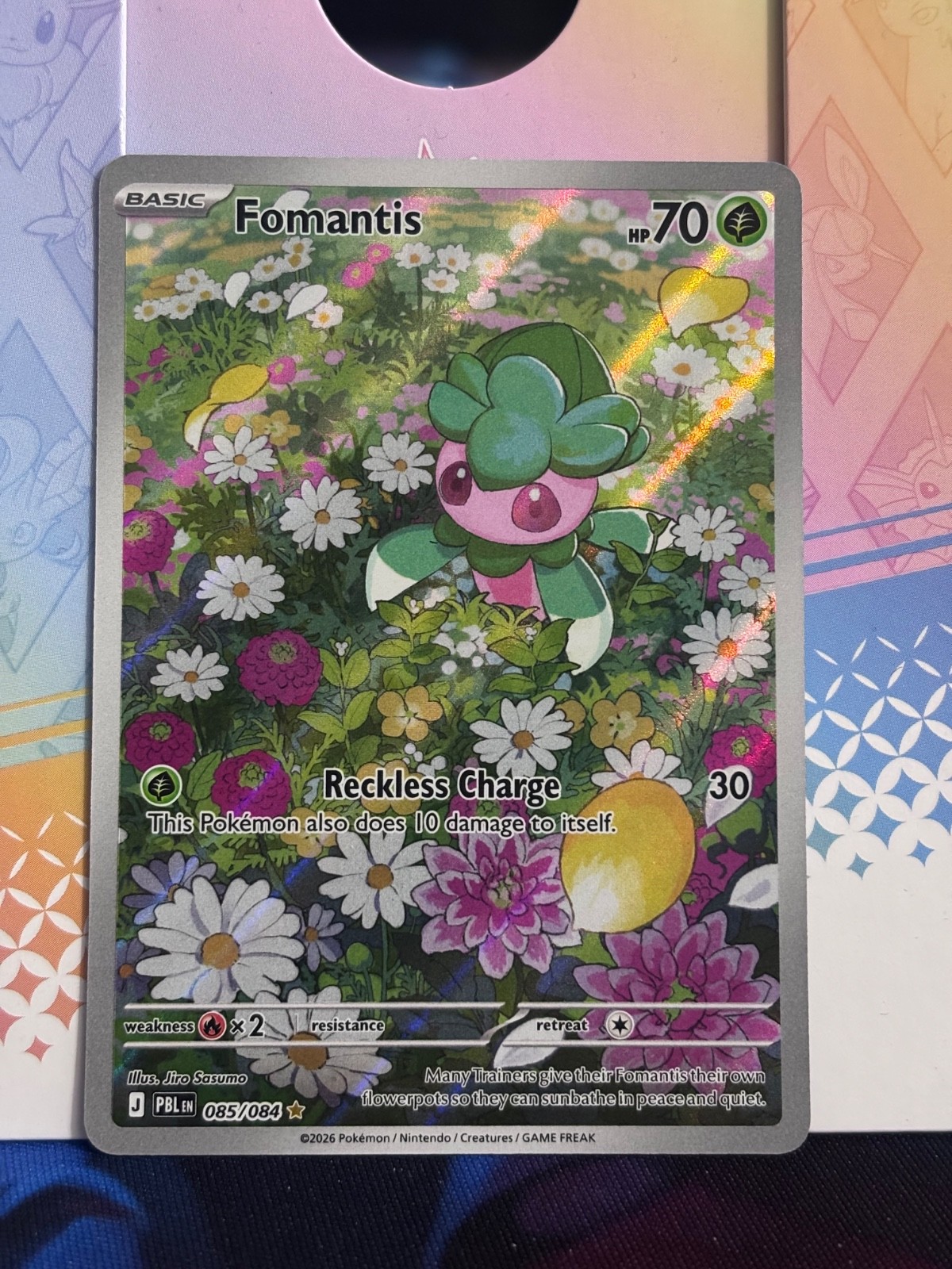 Fomantis 085/084 Illustration Rare Holo NM Pokemon Me05: Pitch Black Fomantis 085/084 Illustration Rare Holo NM Pokemon Me05: Pitch Black