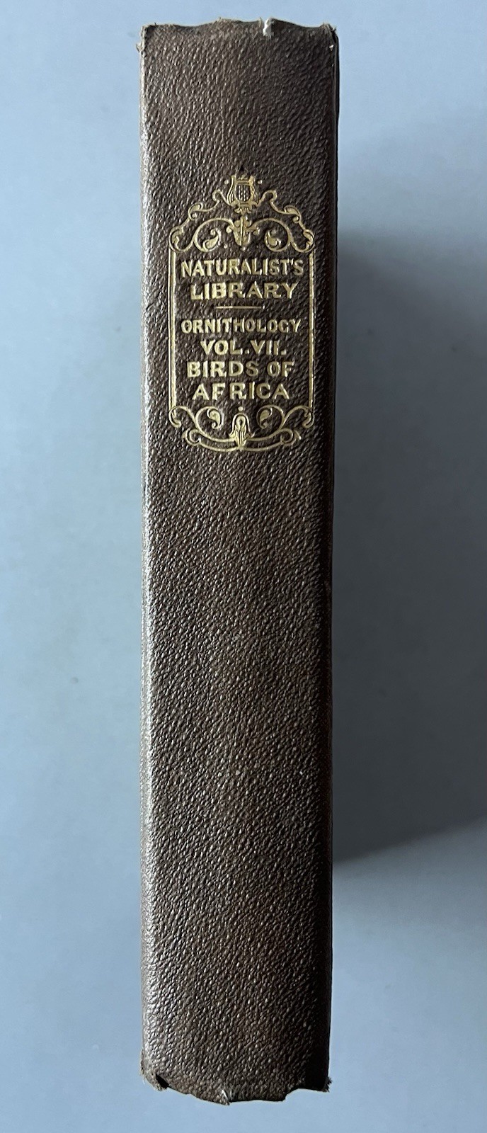 Antique 1837 The Naturalists Library Ornitology Vol VII Birds Of Western Africa 