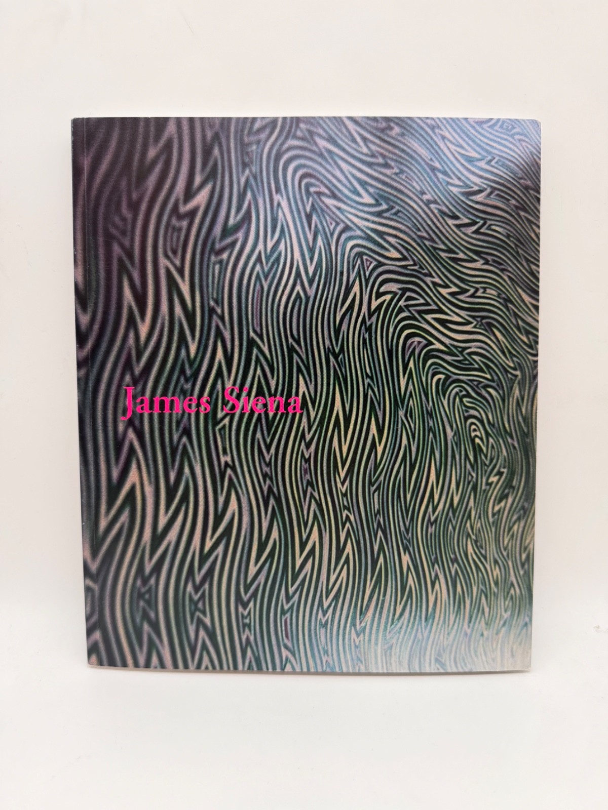James Siena, 1991-2001, Robert Hobbs, Artist Monograph 2001