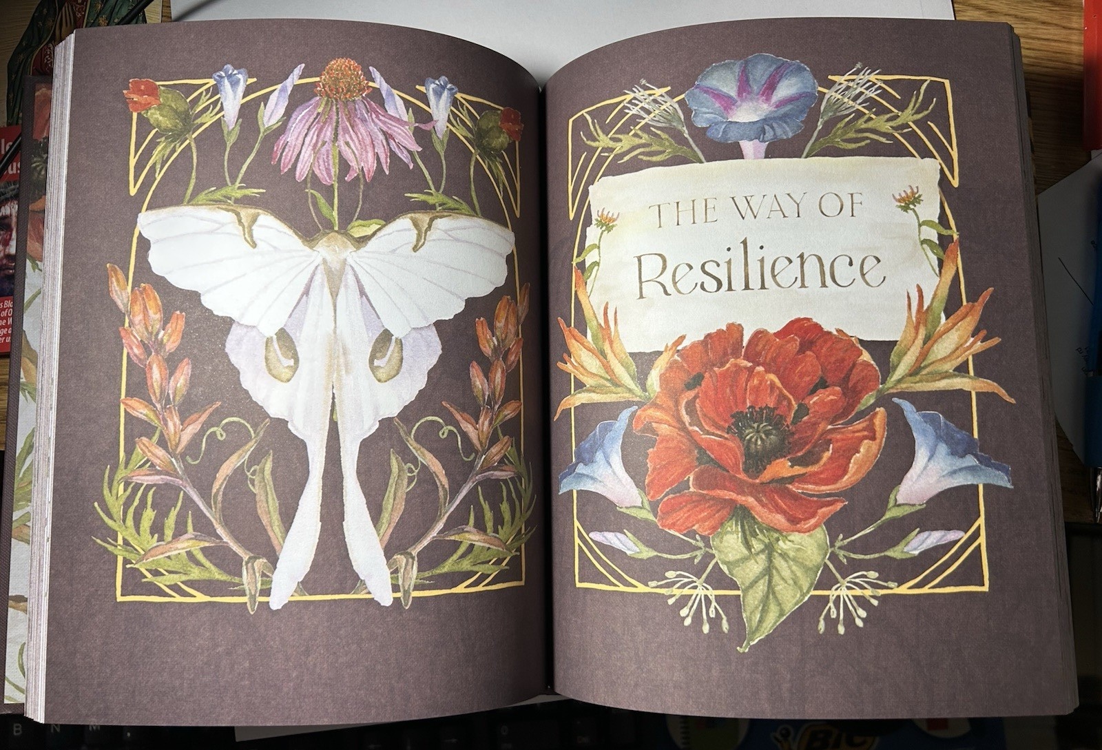 The Way of the Wildflower: Gospel Meditations for Your Anxious Soul (NEW) $17