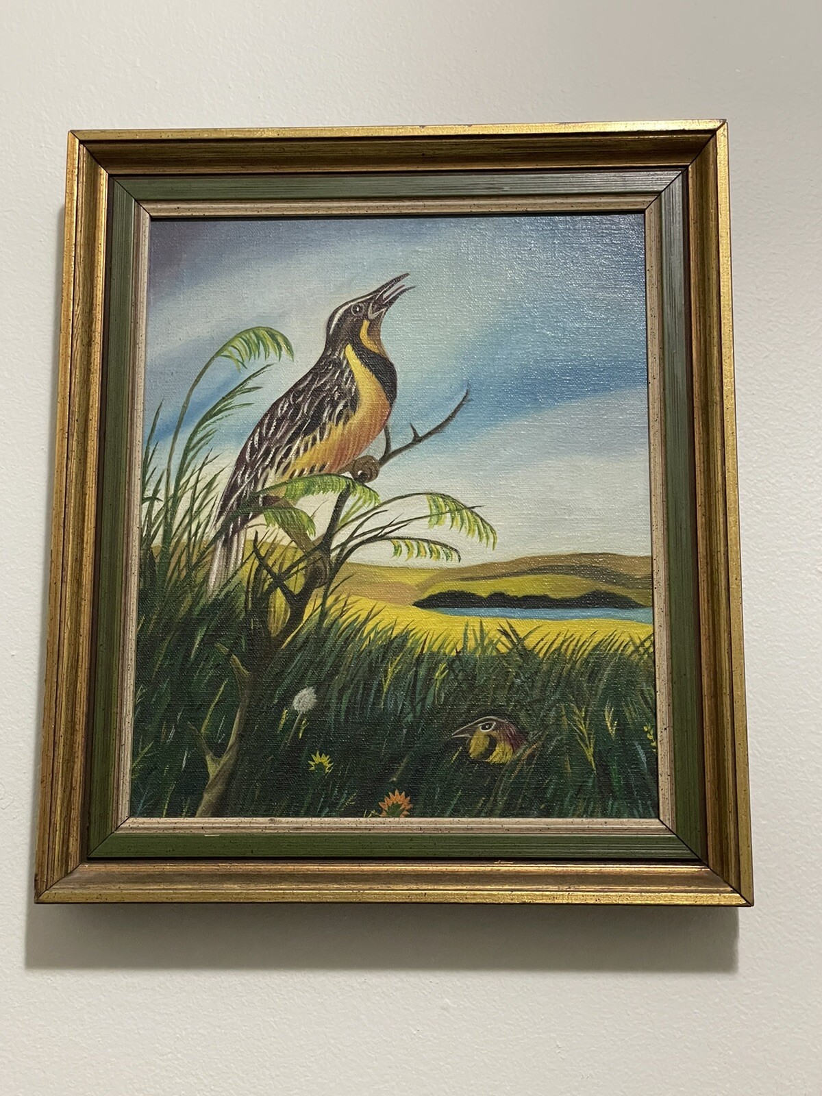VTG Stunning Western Meadowlark State Bird Wildlife painting 14.5”/12.5” Frame