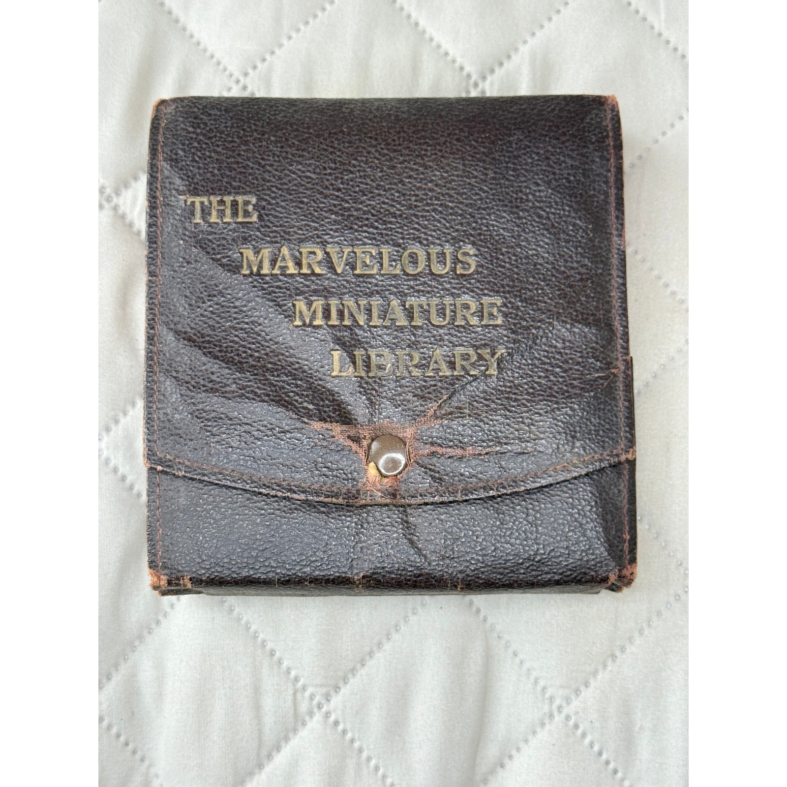 Rare c. 1925 The Marvelous Miniature Library Complete 6-Volume Set - France
