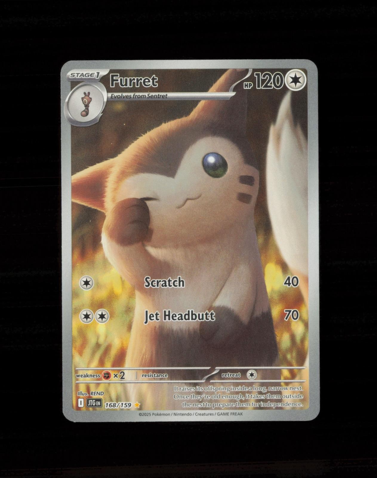 2025 Pokemon Journey Together Furret 168/159 NM