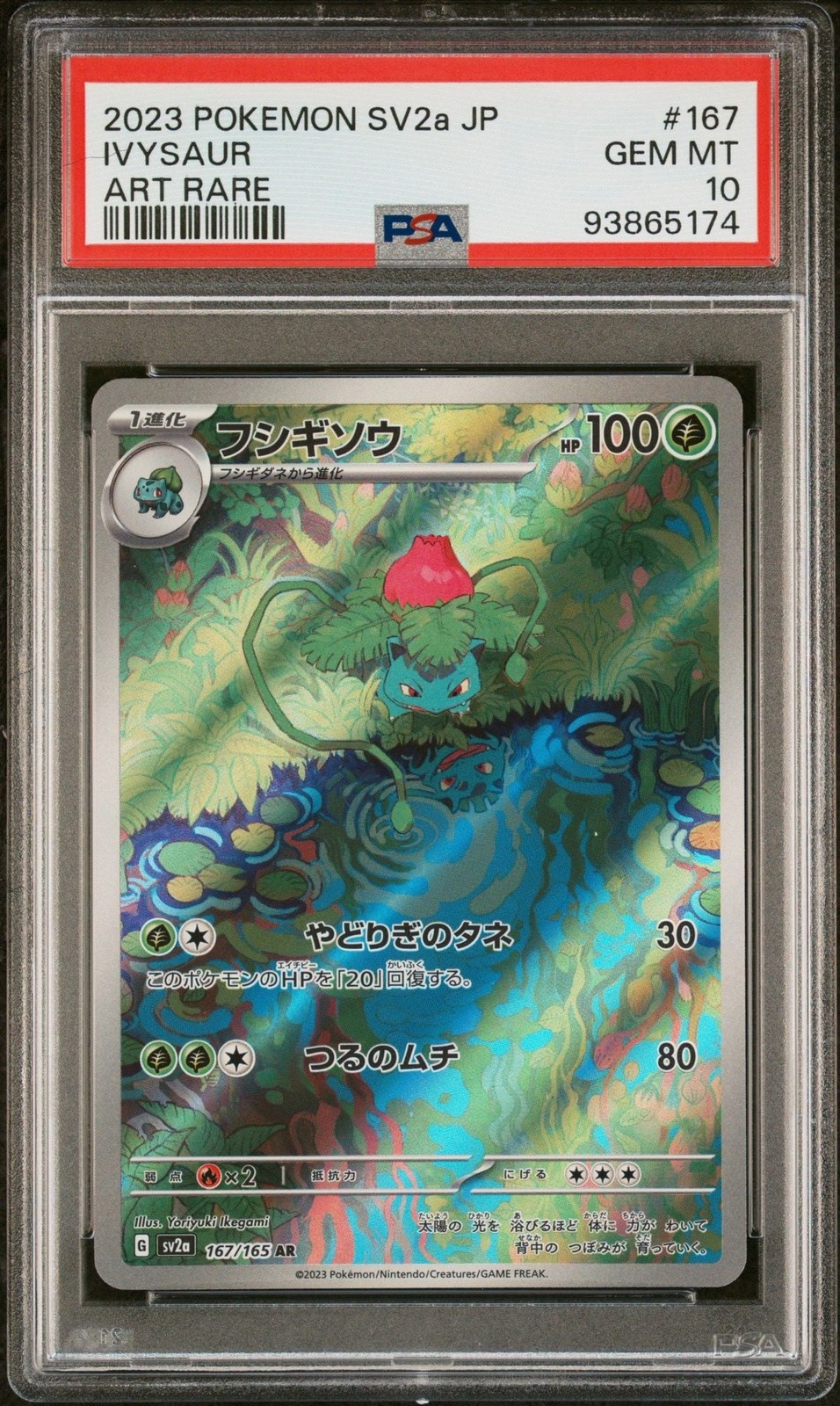 Graded 2023 Pokemon 151 SV2a JaP Ivysaur 167 Art Rare Card PSA 10 Gem Mint Graded 2023 Pokemon 151 SV2a JaP Ivysaur 167 Art Rare Card PSA 10 Gem Mint
