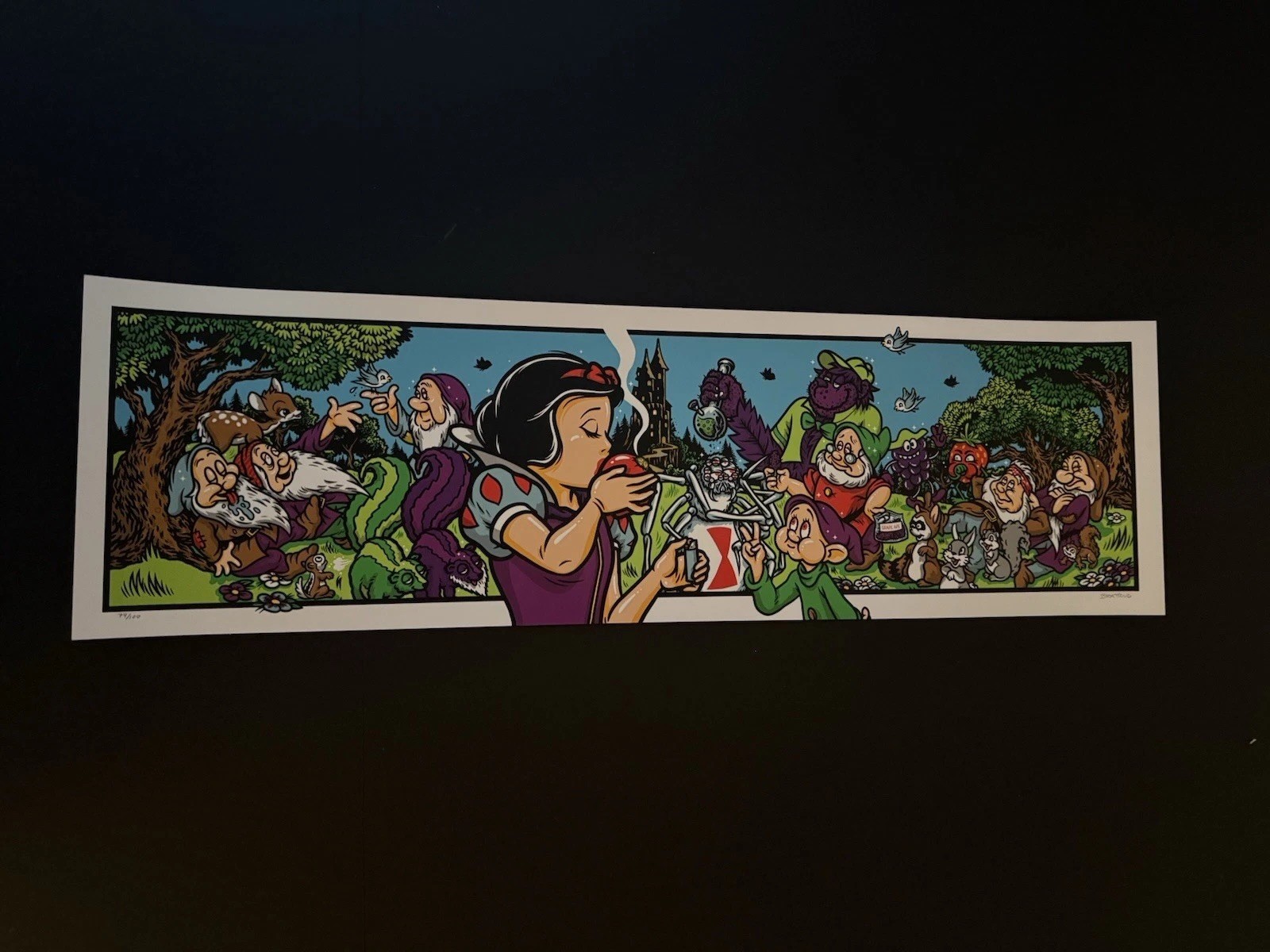 Strangelove Skateboards Apple Princess Print Signed #/100 Todd Bratrud