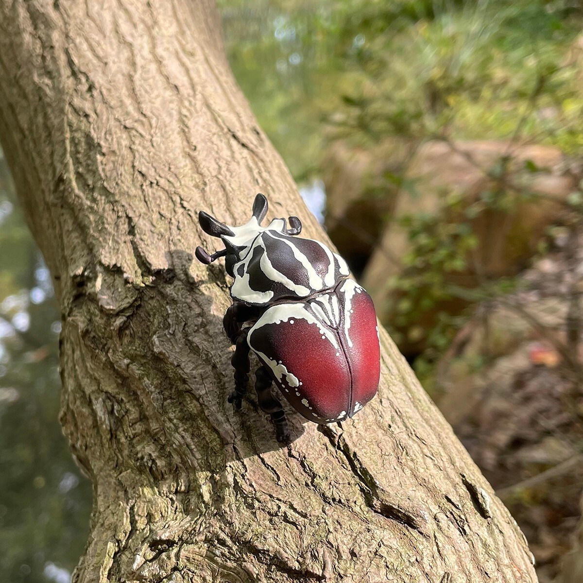 Animal Heavenly Body Goliath beetle Goliathus goliatus Insect Statue