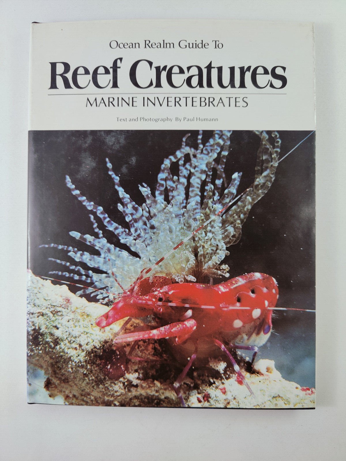 Ocean Realm Guide to Reef Creatures: Marine Invertebrates (Humann) RARE Book HC Ocean Realm Guide to Reef Creatures: Marine Invertebrates (Humann) RARE Book HC