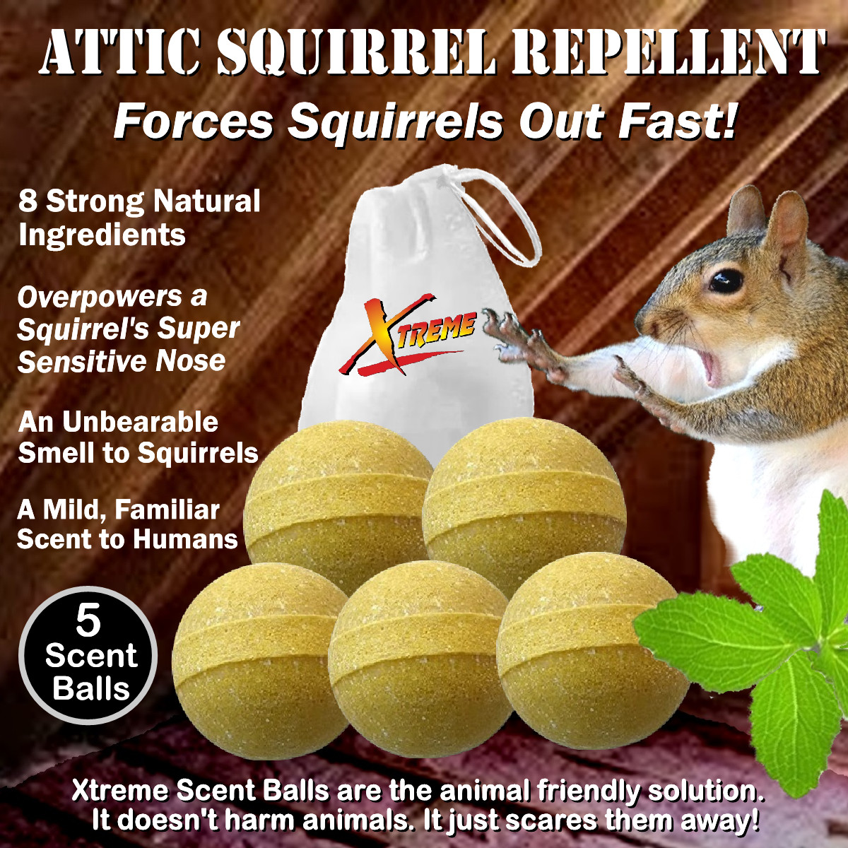 Xtreme Attic Squirrel Repellent. Drives Squirrels Out Fast - 5 Pack