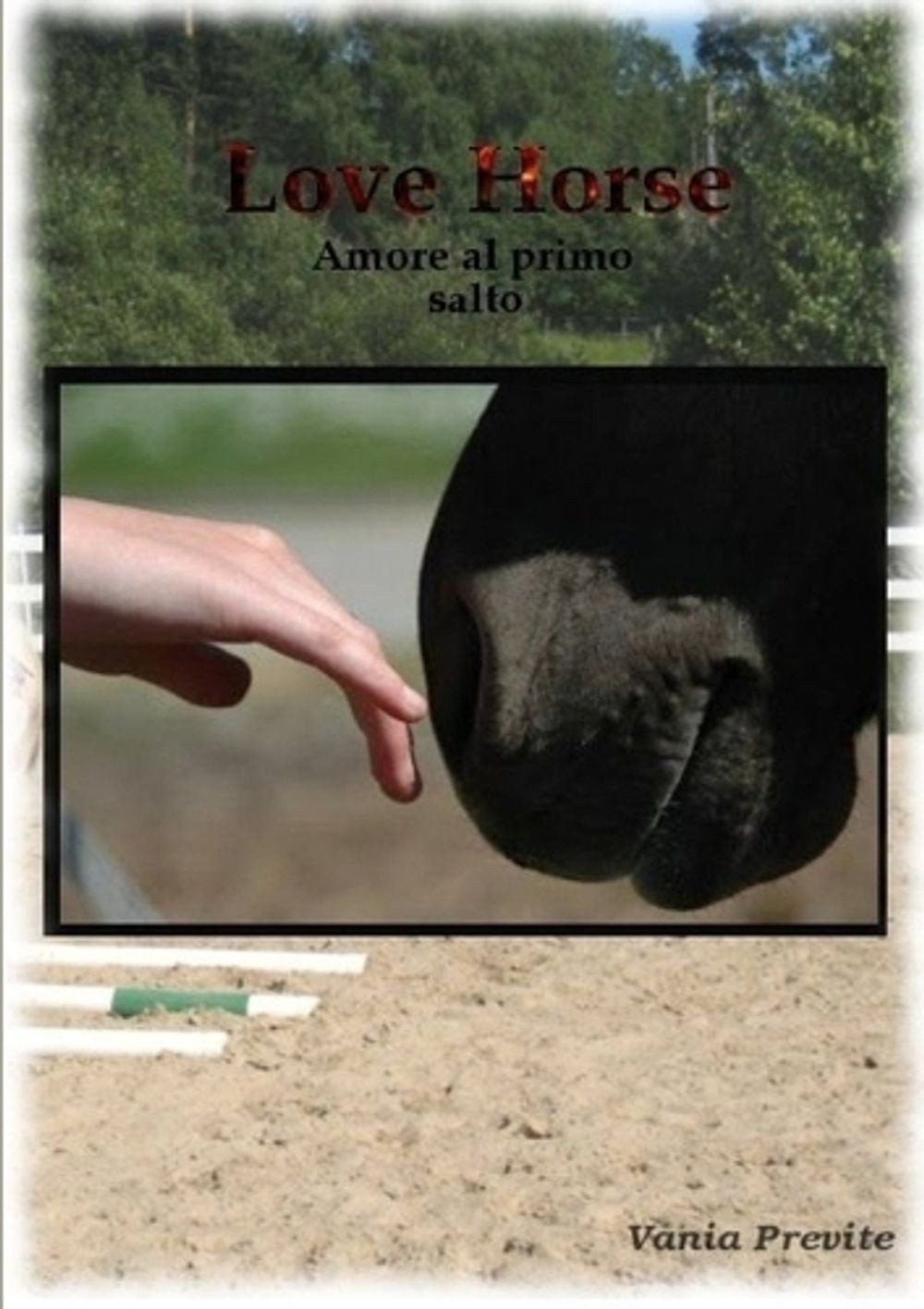 Love Horse by Vania Previte (Italian) Paperback Book